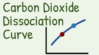 Carbon Dioxide Dissociation Curve [upl. by Verner]