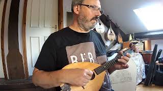 Lios na Banriona slow air by Nollaig Casey mandolinbouzouki duet [upl. by Adriena]