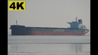 PENELOPE OLDENDORFF  Shipspotting Germany 🇩🇪 IMO 9464596  River Elbe near City Otterndorf  4K [upl. by Petty]