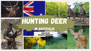 Hunting Deer in Australia 4k Amazing Footage [upl. by Suzi]