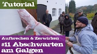 11 Abschwarten am Galgen  Schwarzwild  Lehrgang Aufbrechen amp Zerwirken [upl. by Aschim]