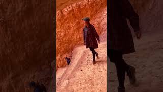 Best Hikes in Bryce Canyon [upl. by Oinimreh]