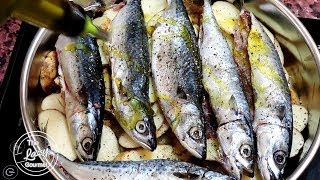 How To Make Baked Mackerel  Greek Mackerel Plaki Recipe [upl. by Sunev385]