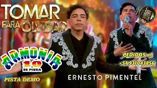 Tomar para olvidar  Ernesto Pimentel ft Armonía 10  pista musical [upl. by Sofer728]