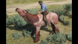 RDR2Arthur Gets Strawberry Ardennes Horse Early Example2 Passerbys Situation [upl. by Nami]