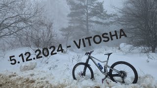 December 5 2024  Vitosha Raw Cut [upl. by Hsilgne]