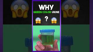 Why quot GREEN Colour quot Urine [upl. by Malsi]