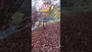 Harz gebergte Hahnenklee  ClausthalZellerfeld rondrit van 33 kilometer mtb offroad [upl. by Blakeley]