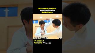 The application of Kata quotHeian Nidanquot Tatsuya Naka sensei karate karatedo kata [upl. by Kirsten]