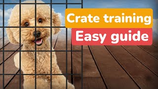 Crate Train Your Poodle 5 Simple Steps for a Happy Dog [upl. by Iruy]