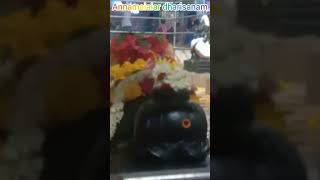 Annamalaiar tharisanam sivan shiva temple  en appan allava en thaayum allava youtubeshorts hd [upl. by Akinit]