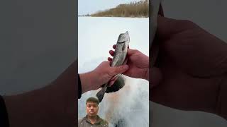 Winter fishing ko dege reaction pt24 shorts reaction keshavrajgure [upl. by Rayford]