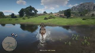 How to Get a Missouri Fox Trotter in Chapter 2 No Tracking Needed  Red Dead Redemption 2 [upl. by Terena]