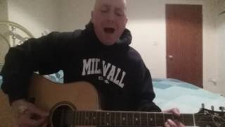 Millwall Song Pride No one Likes Us We Dont Care  Acoustic Version by Mark Gorman [upl. by Kenney]