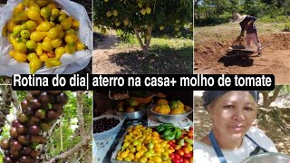 nosso diaIdelson fazendo aterro da casa  molho de tomate caseiro delicioso [upl. by Weirick593]