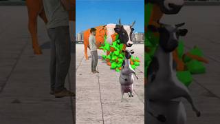 cow videos🐄😂 cow sound cowThe cow mascot vibrato assistant placedon the football field is popular [upl. by Evonne]