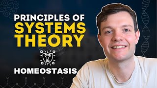 Actuary Applies Systems Theory Homeostasis [upl. by Yasmeen]