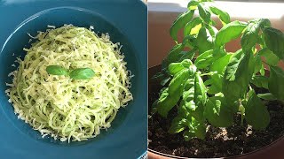 PESTO SOS TARİFİ VE PESTO SOSLU SPAGETTİ YAPIMI✅💯 [upl. by Fabian645]