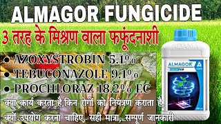 Adama Almagor fungicide  Azoxistrobin  Tebuconazole  prochloraz  Almagor सम्पूर्ण जानकारी [upl. by Aillemac288]