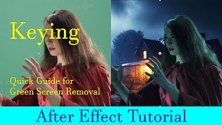 Keying in Adobe After Effects  Quick Guide for Green Screen Removal Lecture 04 Pt 03 [upl. by Gnal829]