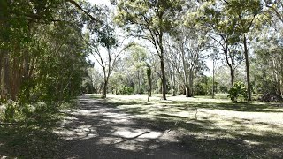 Walking tour Gold Coast Australia [upl. by Ahsenit]