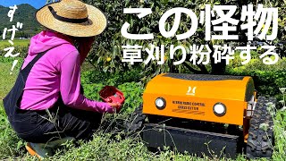 ラジコン草刈り機 ヤバい雑草の森を離れた場所から草刈りする｜HAIGEハイガーラジコン草刈機HGRCGC501 [upl. by Ceporah]