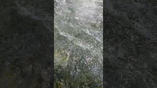 Fascinating Patterns Within The Dynamic Chaos Of Water In The River ASMR [upl. by Dann622]