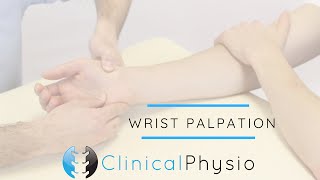 Wrist Joint Palpation  Clinical Physio [upl. by Parthena]