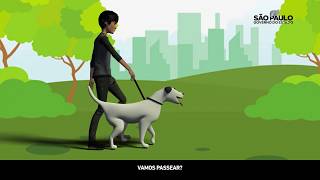 Leve seu cachorro para passear nos parques da capital [upl. by Anavoig]