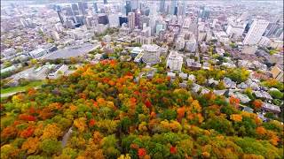 Aerial view Mount Royal Park MontRoyal  Montreal Quebec  Canada by drone at Fall [upl. by Aisenet]