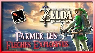 TUTO COMMENT FARMER LES FLECHES EXPLOSIVES DANS ZELDA [upl. by Serrano]