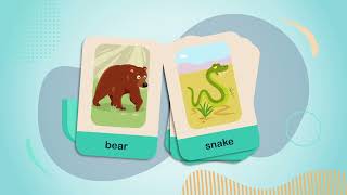 Wild Animals for Kids Flashcards Super Minds 2 Unit 2 Vocabulary [upl. by Yror214]