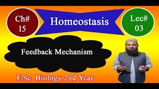 Biology Ch15Lecture03 Feedback Mechanism FSc 2nd Year [upl. by Adlanor]