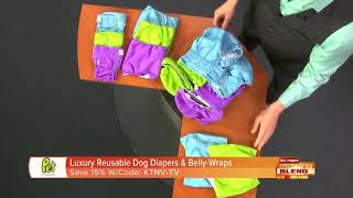 Luxury Reusable Dog Diapers And BellyWraps [upl. by Airdnal]