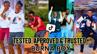 🔥Tested Approved amp Trusted🔥Burna BoyTikTok Dance Challenge [upl. by Suckow369]