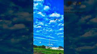 Trading shorts video 🖤✨😍love lifeway song naturesway music beautiful [upl. by Arihsak736]