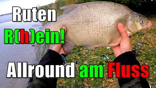 Ruten Rhein  WMMS Fish On Tour  AllroundAnsitz [upl. by Sakram336]