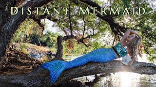 Distant Mermaid by Liv amp Let Liv with Mahalia Michael 432 hz tuning  4K [upl. by Nylhtiak]