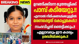 പാലക്കാട് നടന്ന സംഭവം ഈ കാര്യങ്ങൾ ശ്രദ്ധിച്ചില്ലെങ്കിൽ ഇത് എല്ലാവർക്കും സംഭവിക്കാം [upl. by Couture]