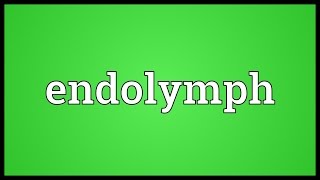 Endolymph Meaning [upl. by Brendan]