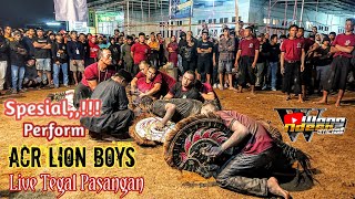 Spesial‼️ACR LION BOYS Live Tegal Pasangan Full obrak abrik [upl. by Shermie593]