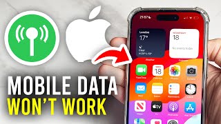 How To Fix Mobile Data Not Working On iPhone  Full Guide [upl. by Saffier343]