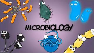 Bacteriën  BIOLOGIE [upl. by Iorio]