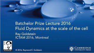 Professor Raymond Goldstein Batchelor Prize lecture 2016 [upl. by Lehcsreh406]