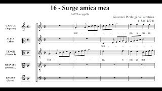 Palestrina Canticum Canticorum  16 Surge amica mea score [upl. by Reamy]