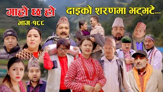 दाइको शरणमा भट्भटे II Garo Chha Ho II Episode 188 II Feb 05 2024 II Begam Nepali II Riyasha Dahal [upl. by Enomal901]