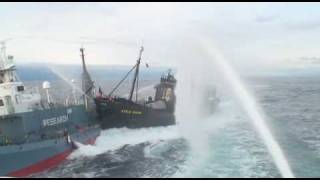 Sea Shepard boat steve irwin rams another vessel [upl. by Varuag]