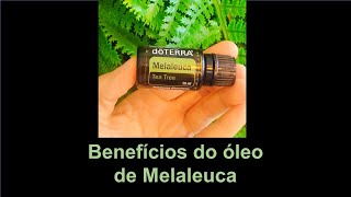 Benefícios do óleo de Melaleuca Tea Tree [upl. by Massimo]