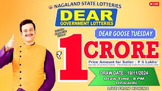 🔴LIVE  Nagaland Lottery Sambad Today 19112024 Dear Goose Tuesday 8PM Draw [upl. by Ibor]