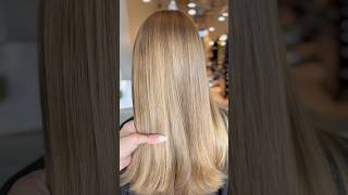 Pure Brazilian Express Blowout for Smooth FrizzFree Gorgeous Healthy Hair [upl. by Ysnil633]